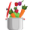 Thème Cuisine